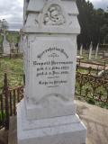 image of grave number 233850